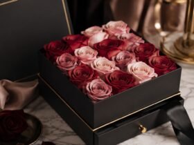 Rosboxar